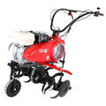 Leme Pubert Quatro Junior 60h
